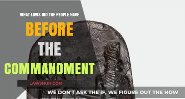 Ancient Legal Codes: Pre-Commandment Laws That Shaped Early Societies