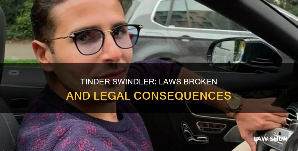 what laws did the tinder swindler break