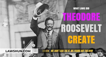 Roosevelt's Legacy: Laws and Policies