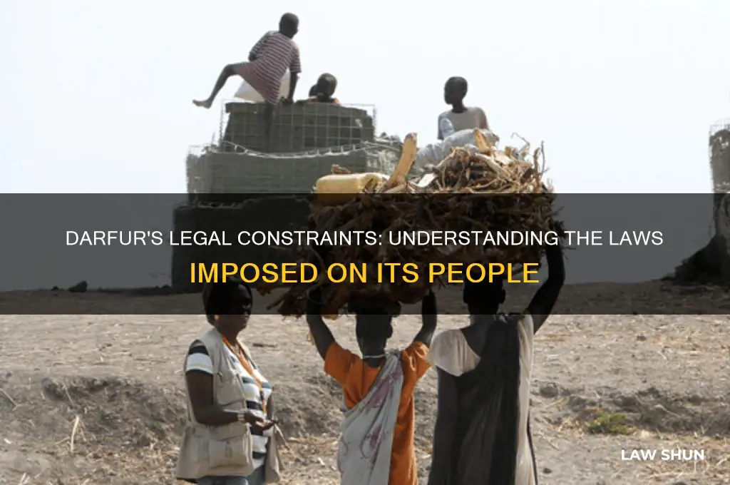 what laws did they set on the people of darfur