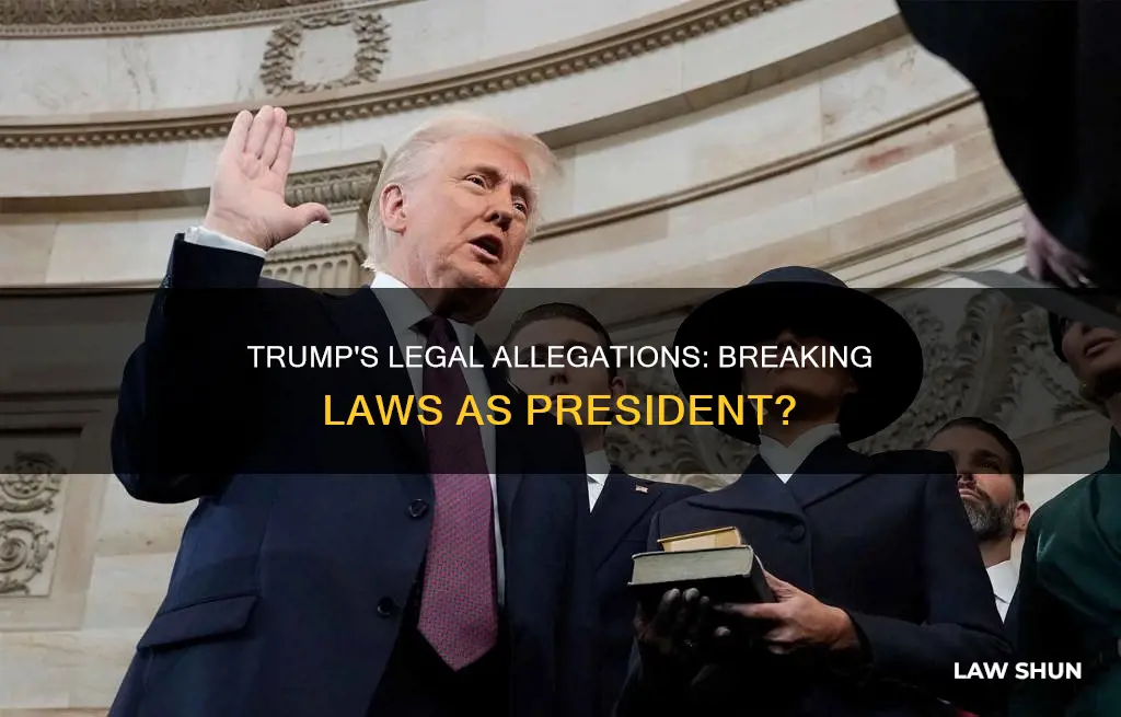 what laws did trmp allegies break