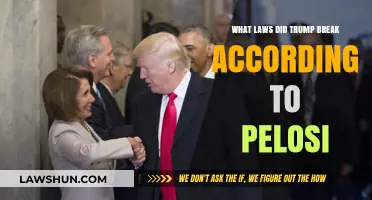 Pelosi's Claims: Trump's Possible Violations of Federal Laws