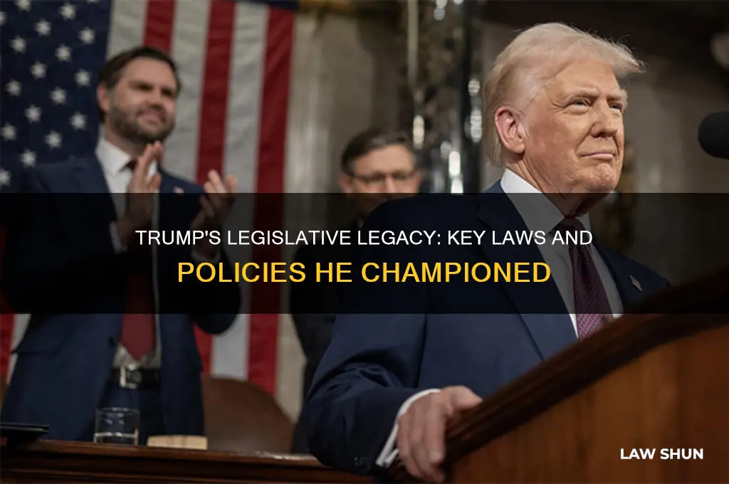 what laws did trump write