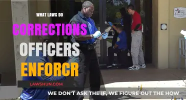 Understanding the Legal Authority of Corrections Officers in Prisons