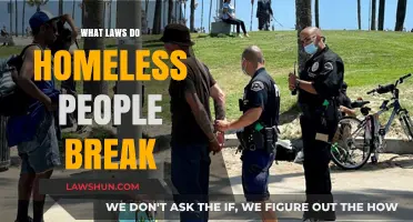 The Legal Missteps of the Homeless: Unveiling the Complexities