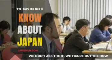 Essential Legal Insights for Navigating Japan's Laws and Regulations