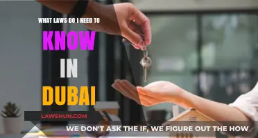 Essential Dubai Laws: A Guide for Residents and Visitors