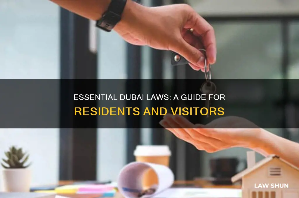 what laws do i need to know in dubai