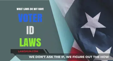States Without Voter ID Laws: Understanding Their Election Policies