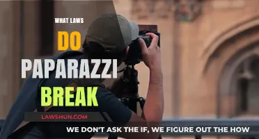 Unveiling the Dark Side: Paparazzi's Legal Missteps