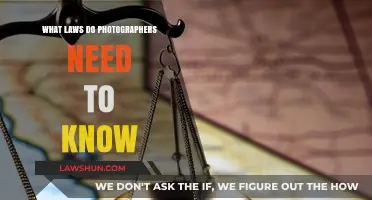 Essential Legal Knowledge Every Photographer Must Understand to Stay Compliant