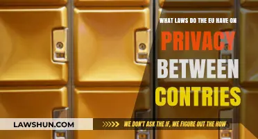 EU Privacy Laws: Cross-Border Data Protection Regulations Explained