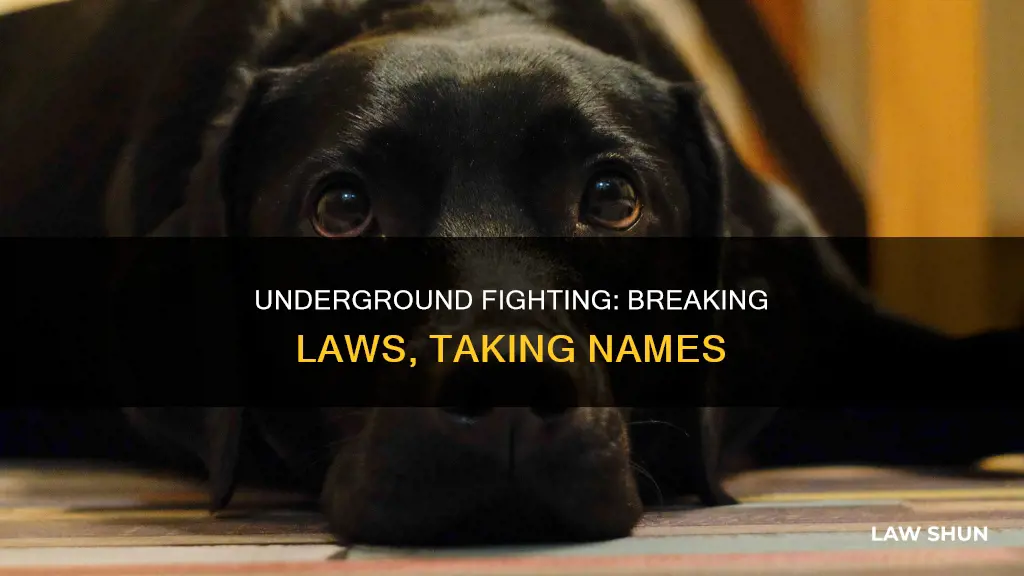 what laws do you break when fighting underground
