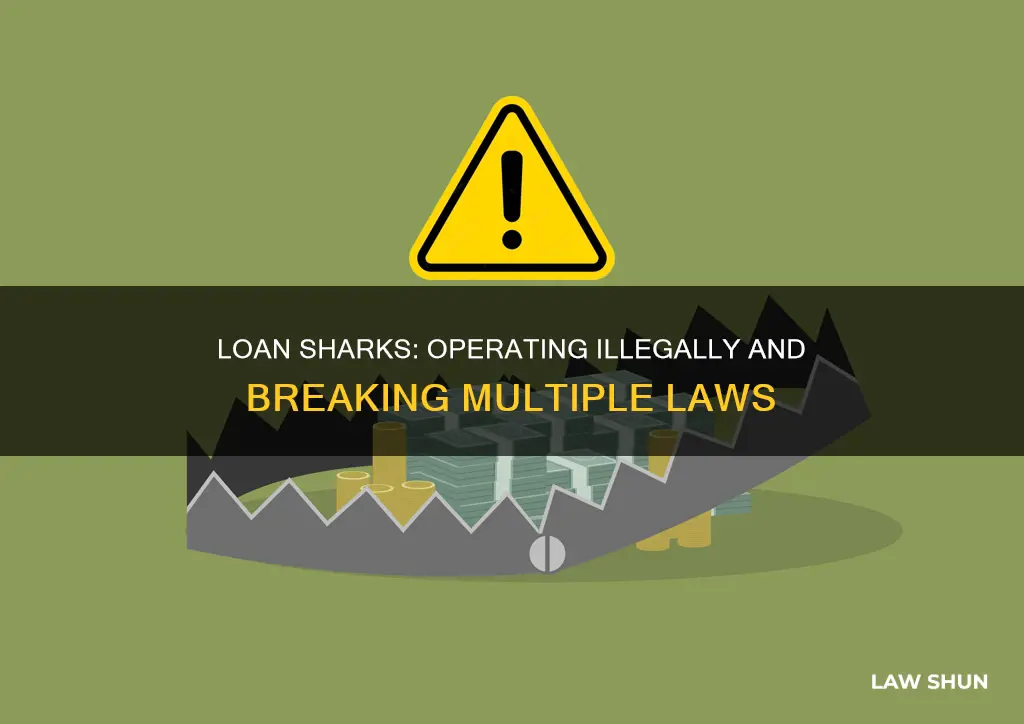 what laws does a loan shark break