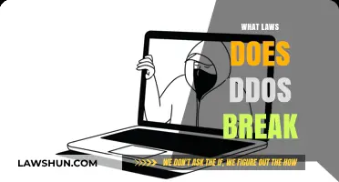 Understanding DDoS: The Legal Implications of Cyber Attacks