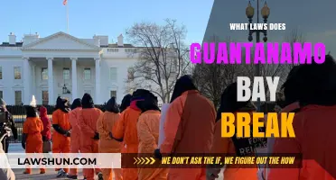 Guantanamo Bay: A Breach of International Law and Human Rights