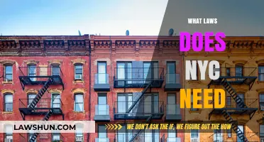 NYC's Future: Essential Laws to Address Urban Challenges and Needs