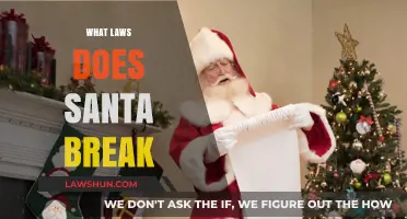 Santa's Legal Missteps: Exploring the Laws He Breaks