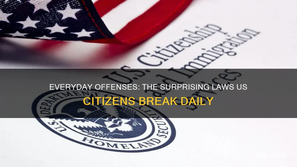 what laws does the average us citizen break daily