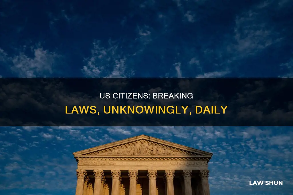 what laws does the average us citizen break daily