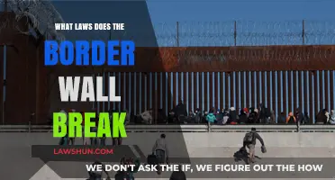 The Wall's Impact: Breaking Laws, Rights, and International Norms