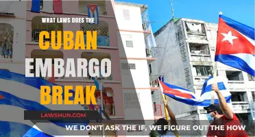 Cuban Embargo: Violations of International Law and Human Rights