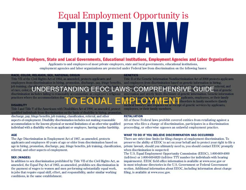 what laws does the eeoc apply