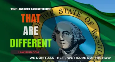 Weird Washington: Unique Laws that Stand Out