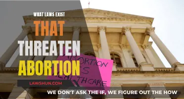 Threatening Abortion: Laws and Their Harmful Impact