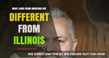 Montana vs Illinois: Unique State Laws
