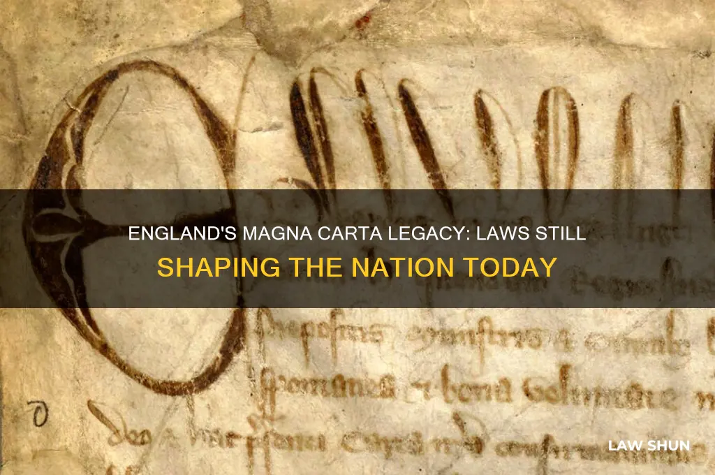what laws from the magna crata was ocurring in england