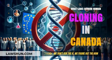 Human Cloning Laws in Canada: What's the Verdict?