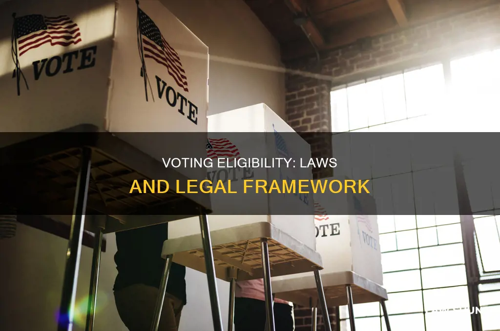 what laws govern who can vote