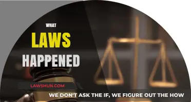 Legal Milestones: Key Laws Enacted and Their Impact Unpacked
