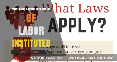 Key Labor Laws Instituted by the Department of Labor Explained