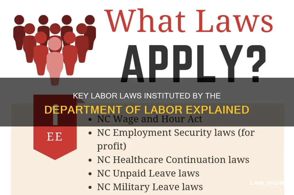 what laws has the department of labor instituted