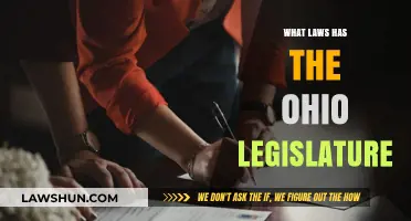 Ohio Legislature's Recent Laws: Impact and Overview for Residents