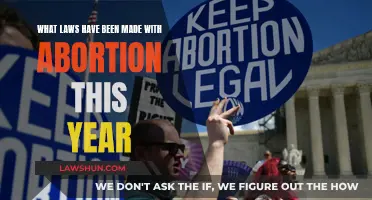 Abortion Laws: New Legal Restrictions and Their Impact