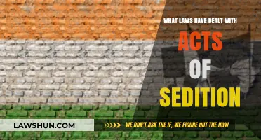 Sedition Laws: A Historical Overview of Legal Responses to Treasonous Acts