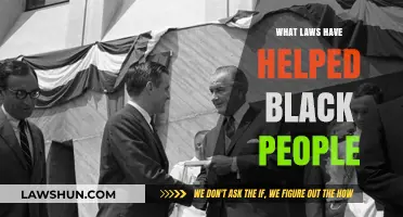 Empowering Progress: Key Laws Advancing Black Rights and Equality