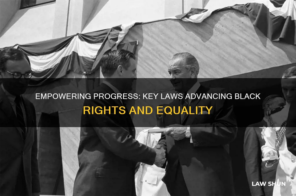 what laws have helped black people