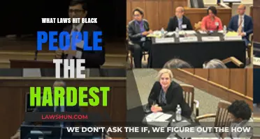 Systemic Injustice: Laws Disproportionately Impacting Black Communities Explored