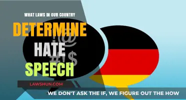 Understanding Hate Speech: Legal Boundaries and Protections in Our Nation