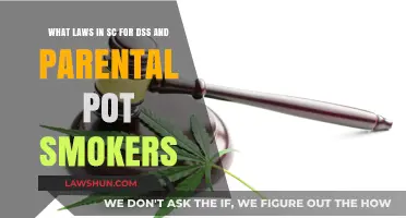 SC DSS Policies: Parental Marijuana Use and Legal Implications