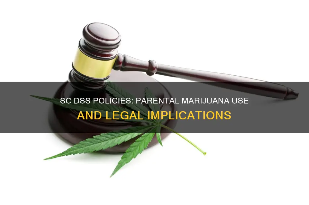 what laws in sc for dss and parental pot smokers