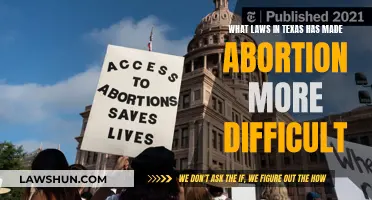 Texas Abortion Laws: Restrictive and Controversial