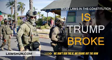 Trump's Constitutional Violations: A Comprehensive Review