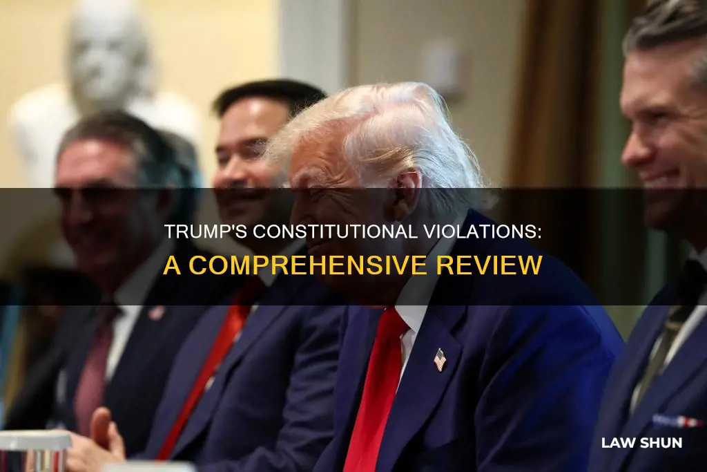 what laws in the constitution is trump broke