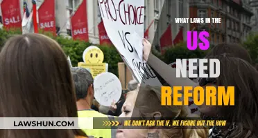Reforming America: Key U.S. Laws Needing Urgent Overhaul and Change
