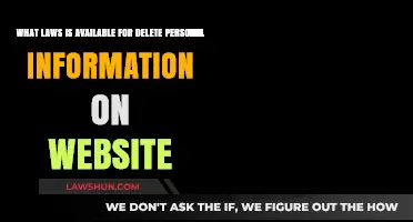 Protecting Privacy: Legal Rights to Remove Personal Data Online